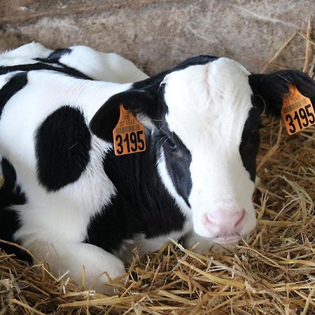 Le Thuit - F2 Plain Pied Tout Equipe A La Ferme Charleval  Exterior foto